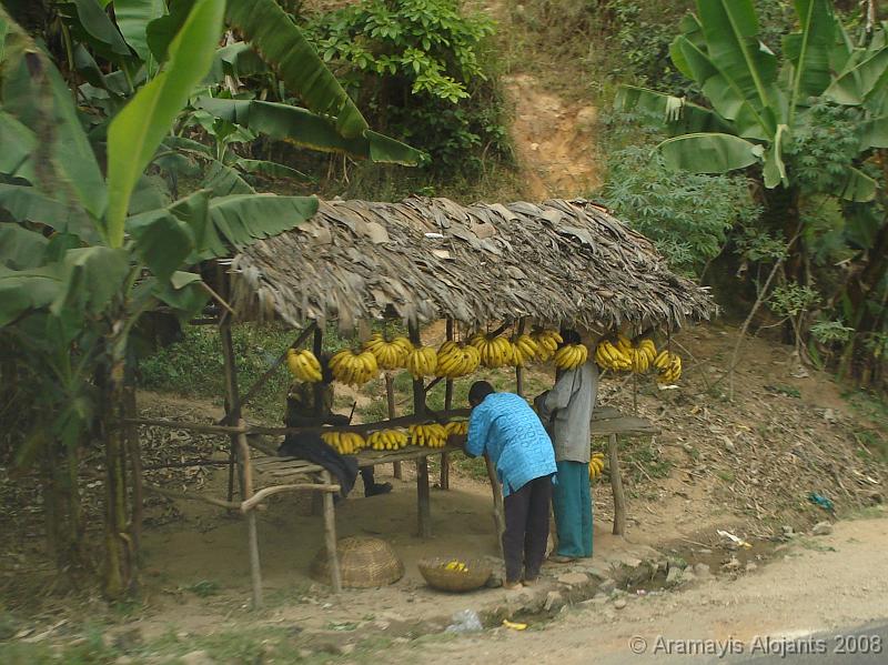 BURUNDI - Banana shop